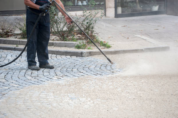 Best Animal Enclosure Cleaning  in Fanwood, NJ