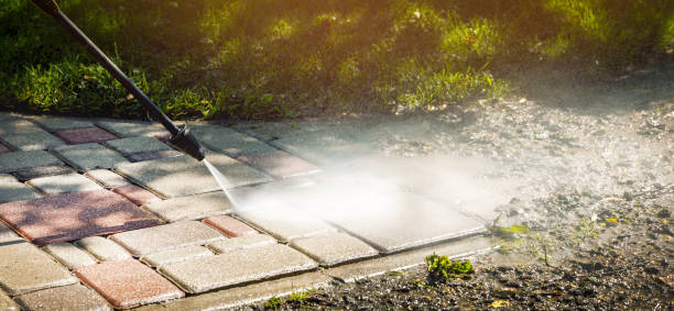 Best Roof Washing  in Fanwood, NJ